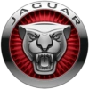 Jaguar Colombia 13