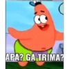 Patrick 19