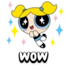 The PowerPuff Girls 11