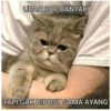 Meme ayang 11