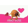 Laranjo 13
