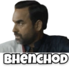 Pankaj Tripathi 12
