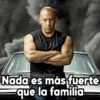 TORETTO MEMES FAMILIA😎 18