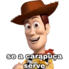 Só as irônicas  15