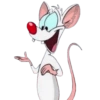 PINKY & CEREBRO 18