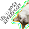Gatitos amorosos. 12