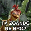 MEMES JOÃO FRANGO 15