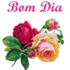 Bom dia,Boa tarde,Boa noite 12