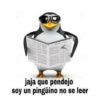 jaja que pendejo soy un pingüino no se leer