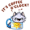 Morning & Night Cats 8