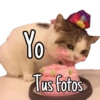 Yo Tus fotos