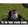 Memes del pro 23