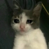 Memes da depressão  15