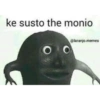 Laranjo 15