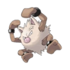 Pokemon 3 8