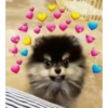 Doggo hearts 14