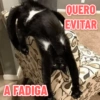 MEMES FANTÁSTICOS 15