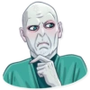 Voldemort Harry Potter 13