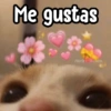 Memes Random XD 😎🥵1 14