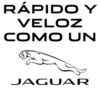 Jaguar Colombia 12