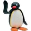 Pingu 🐧 O&M 21