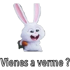 Snowball (pets) 🐰❄️💙 26