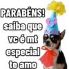 PARABÉNS! saiba que vc é mt especial te amo