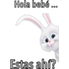 Snowball (pets) 🐰❄️💙 23