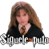 Harry Potter 13