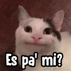 Memes Random XD 😎🥵1 12