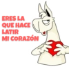 Ojotin y Goyo 16