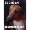 Mel_e_kadu 5