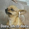 Memes: músicas do momento 💃🏻🕺🏻 13