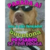 Flerte putaria 17