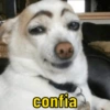 confia