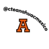 Leonel CTE Anáhuac México 20