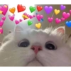 Heart Meme 💖🤪🤤🌸 10