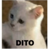 Memes para contestar 2 20