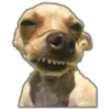 🚫Memes que no viste4🚫 30