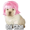 Perritos  20