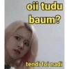 Kpop br memes 14