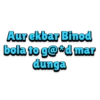 Binod 13