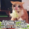 Gatitos SAD 😞 1 24