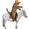 Funny pets 23