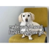 Homophobic dog 23