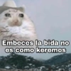 Gatitos SAD 😞 1 22