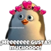 Amor random 12