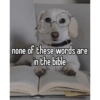 Homophobic dog 27