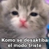 Gatitos SAD 😞 1 11