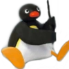 Pingu 🐧 O&M 24